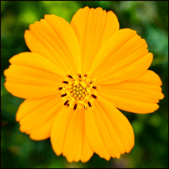 inhastingswithrobert-6