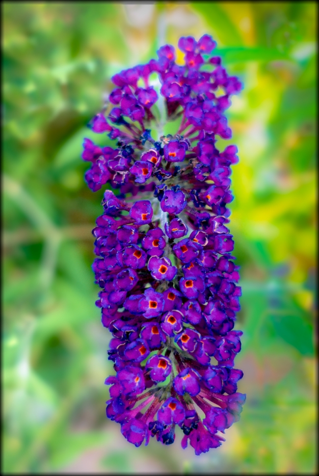 inhastingswithrobert-7