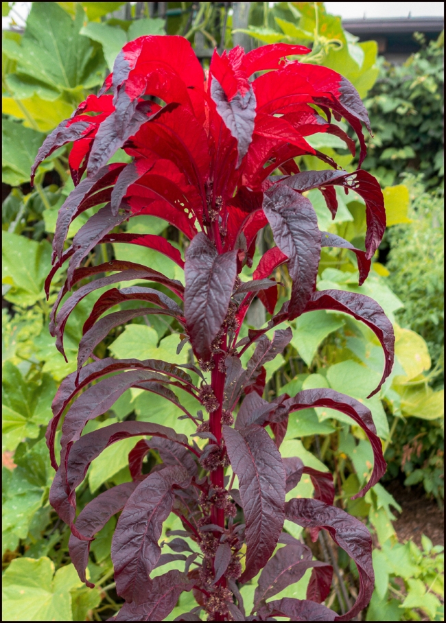 inhastingswithrobert-8