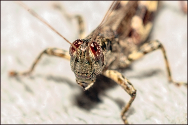 pictureseverywhere-4