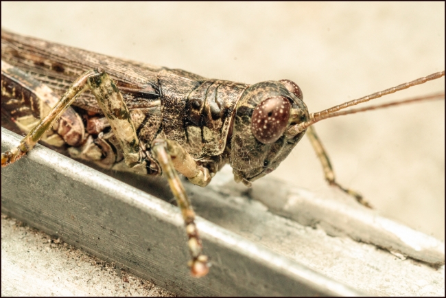 pictureseverywhere-5