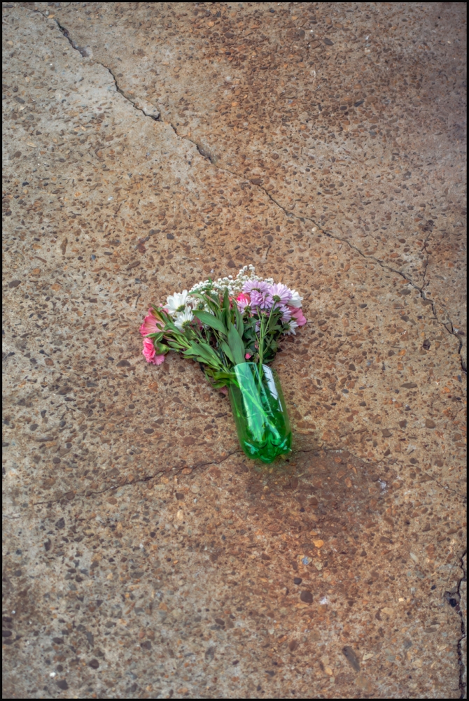 abandonedflowers-1-of-2