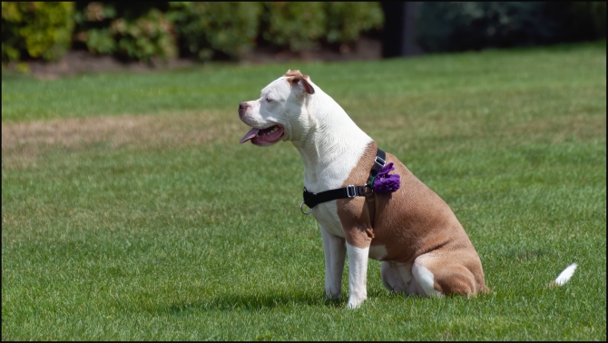 Nikon-Nikkor-18-55mm-f3-56-15-of-16