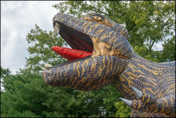 communityday-9-of-16