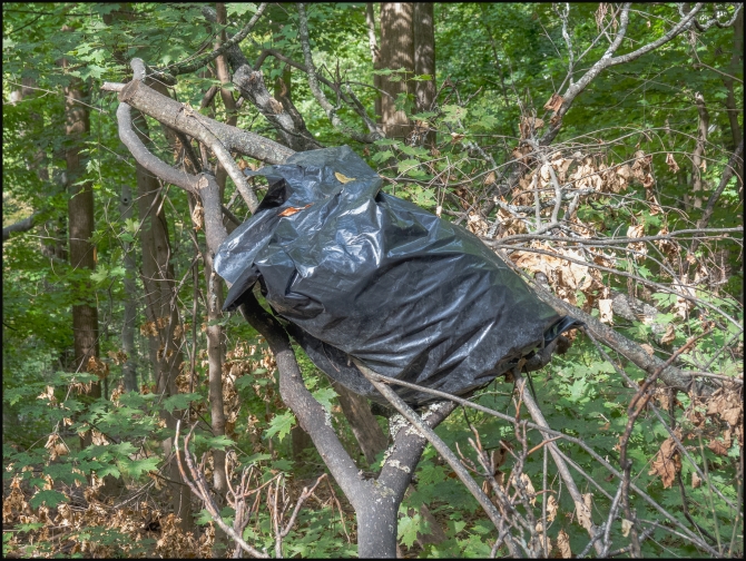 garbagebagintree-1-of-1
