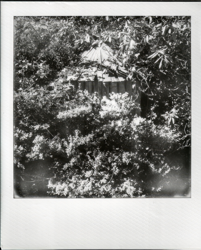 polaroidi-2-1-of-6